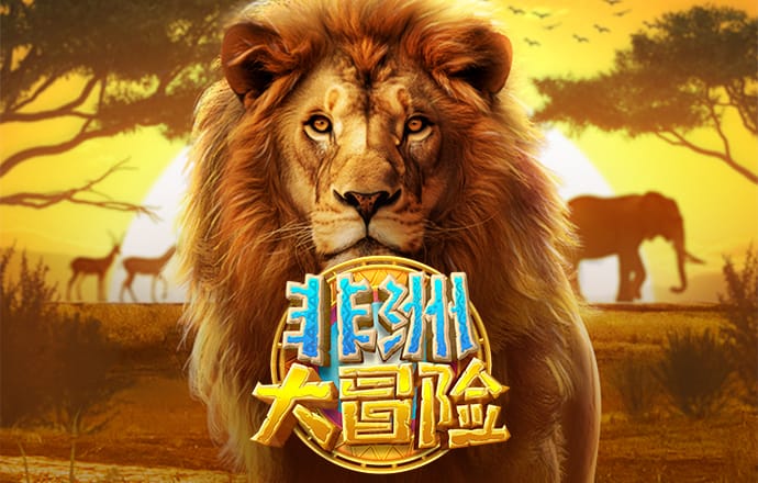 k1平台网址